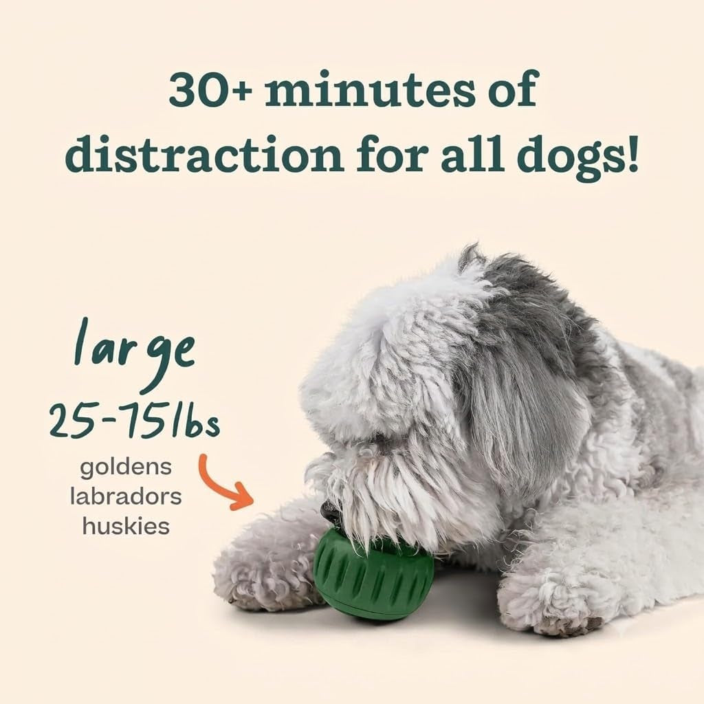 Starter Pack - Interactive Dog Ball Toy for Boredom - Dog Treat Molds Silicone - Chicken-Flavored Healthy Treats for Dogs - Pupsicle Doggy Enrichment Toy - for Large Pups - 25-75 Lbs