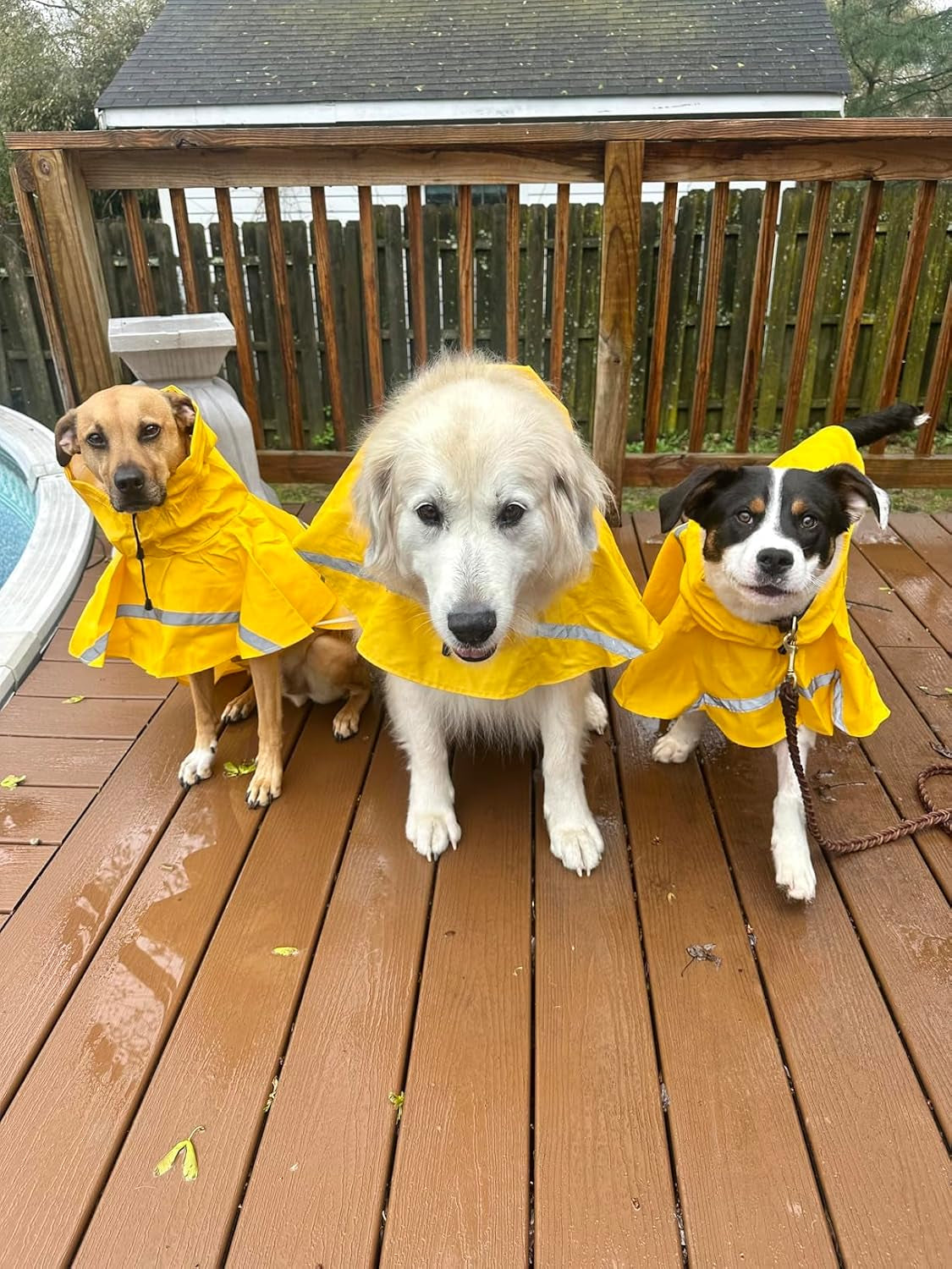 Dog Raincoats with Reflective Strip Hoodie,Poncho Jacket for Large Dogs Fit Golden Retriever Doodle (A1-Yellow, 24B (65-80 Lbs))