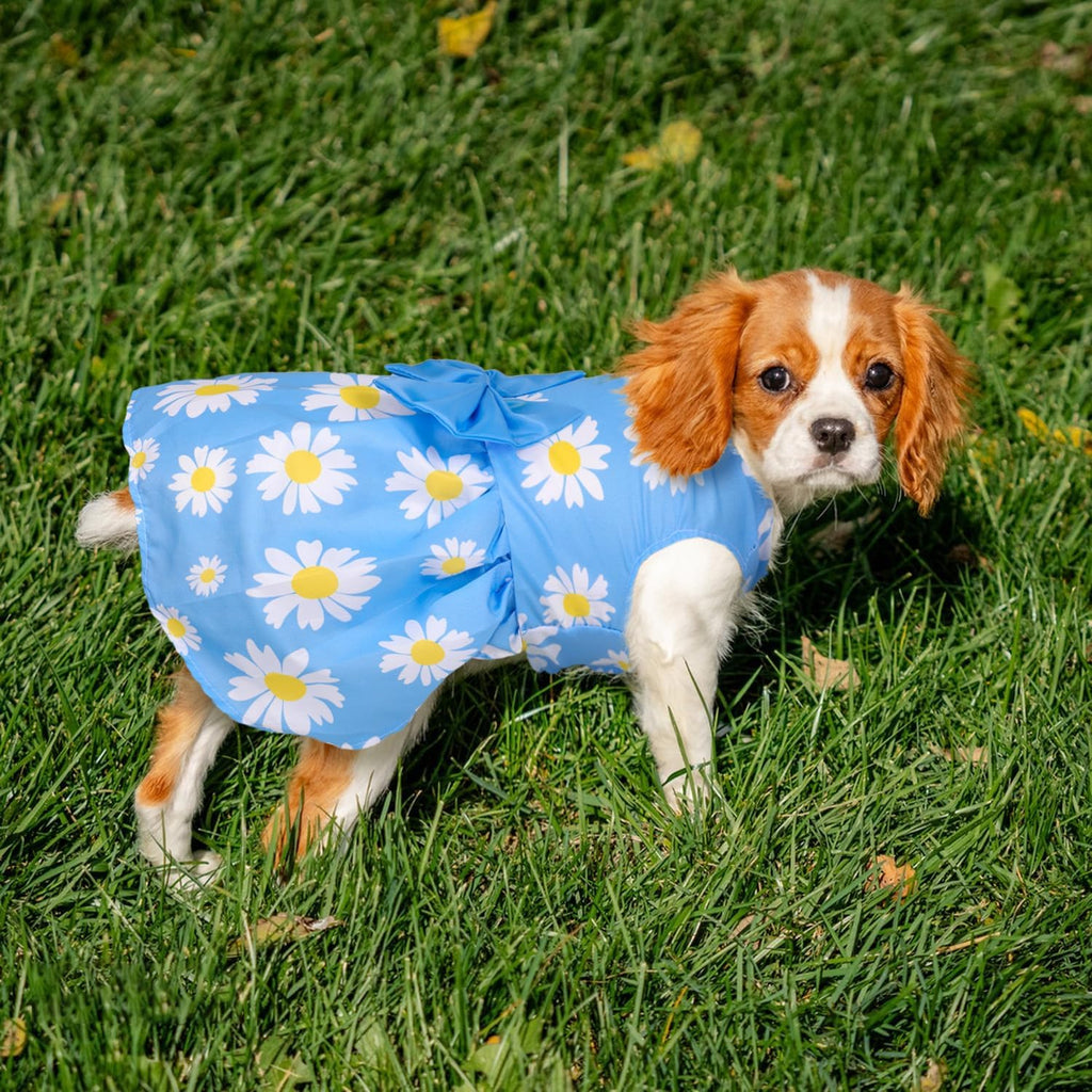 5 Pack Girl Dog Clothes Floral Summer Puppy Princess Bowknot Dog Dresses for Small Dogs Girl Clothes Cute Outfits for Boys Girls Pets Cats Dogs (X-Small, Floral Summer)